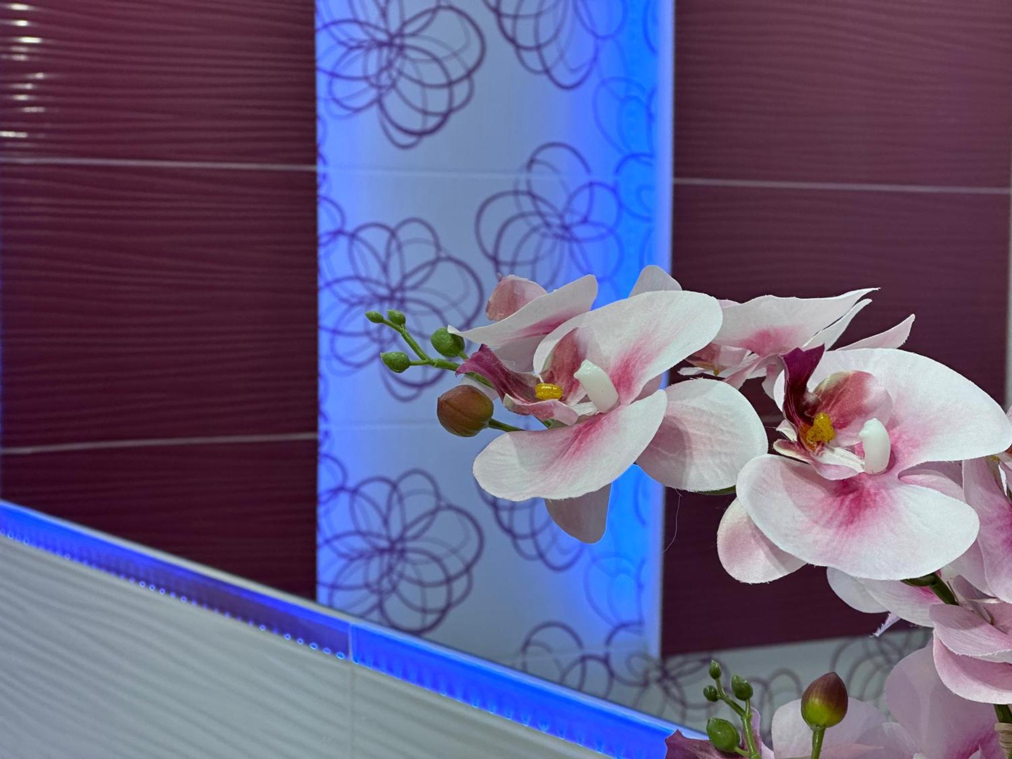 Large, Luxury Condo With Sauna Przemyśl Dış mekan fotoğraf